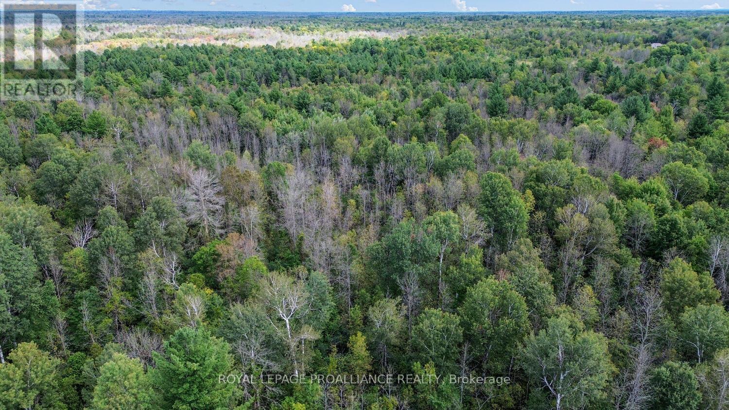 4825 Mccully Road, Augusta, Ontario  K0E 1T0 - Photo 29 - X12323509