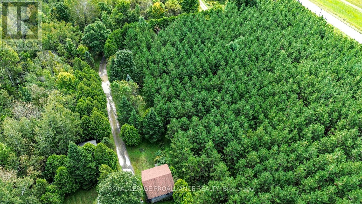 4825 Mccully Road, Augusta, Ontario  K0E 1T0 - Photo 30 - X12323509