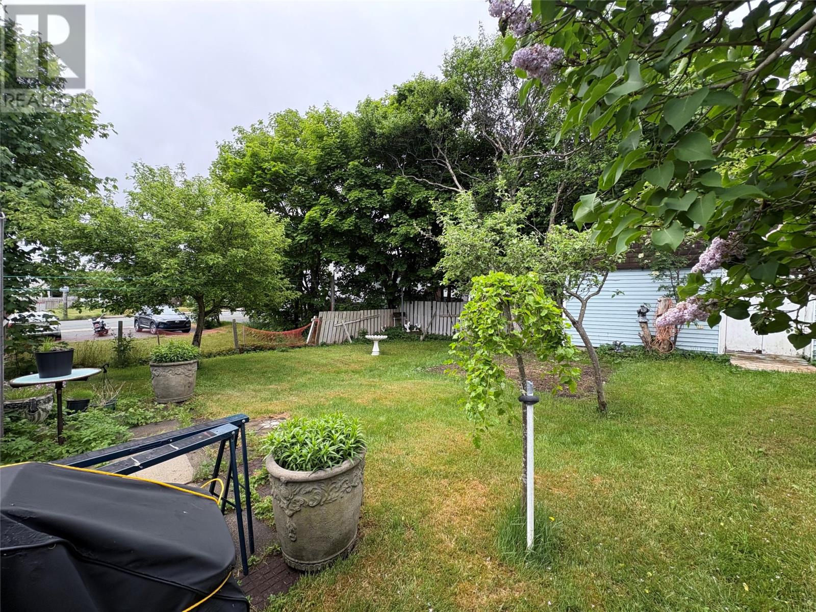 59 Blackler Avenue, St. John's, Newfoundland & Labrador  A1E 3E9 - Photo 20 - 1288719