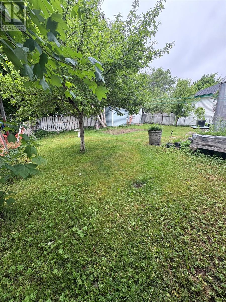 59 Blackler Avenue, St. John's, Newfoundland & Labrador  A1E 3E9 - Photo 23 - 1288719
