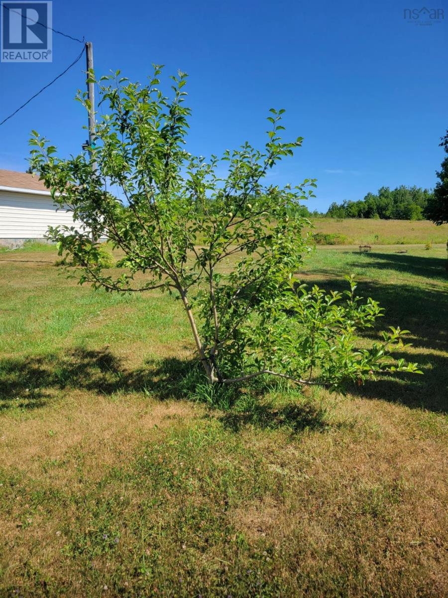 716 Little Pond Road, Florence, Nova Scotia  B1Y 1S7 - Photo 5 - 202519554