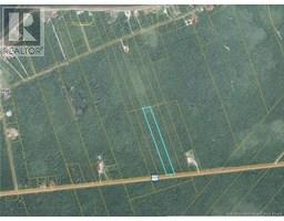6.62 Acres Route 117 Route, Hardwicke, New Brunswick