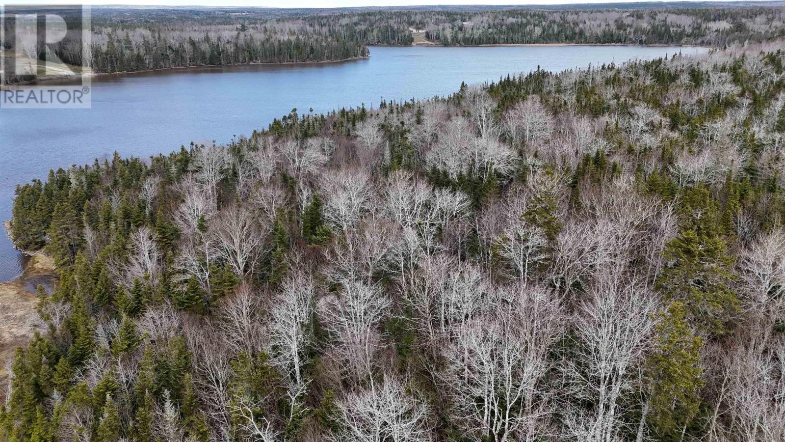 Mink Point Road, Evanston, Nova Scotia  B0E 1J0 - Photo 17 - 202513005