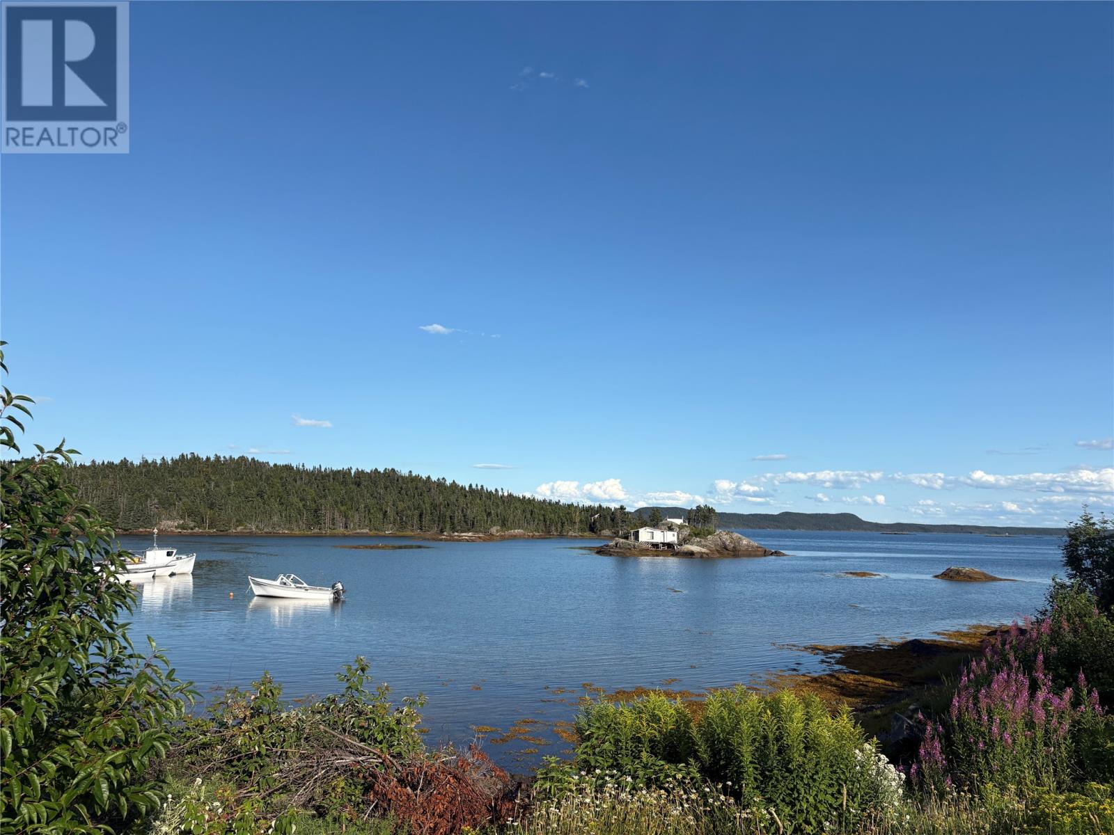 00 Charles Brook Road, Charles Brook, Newfoundland & Labrador  A0H 2A0 - Photo 11 - 1288703
