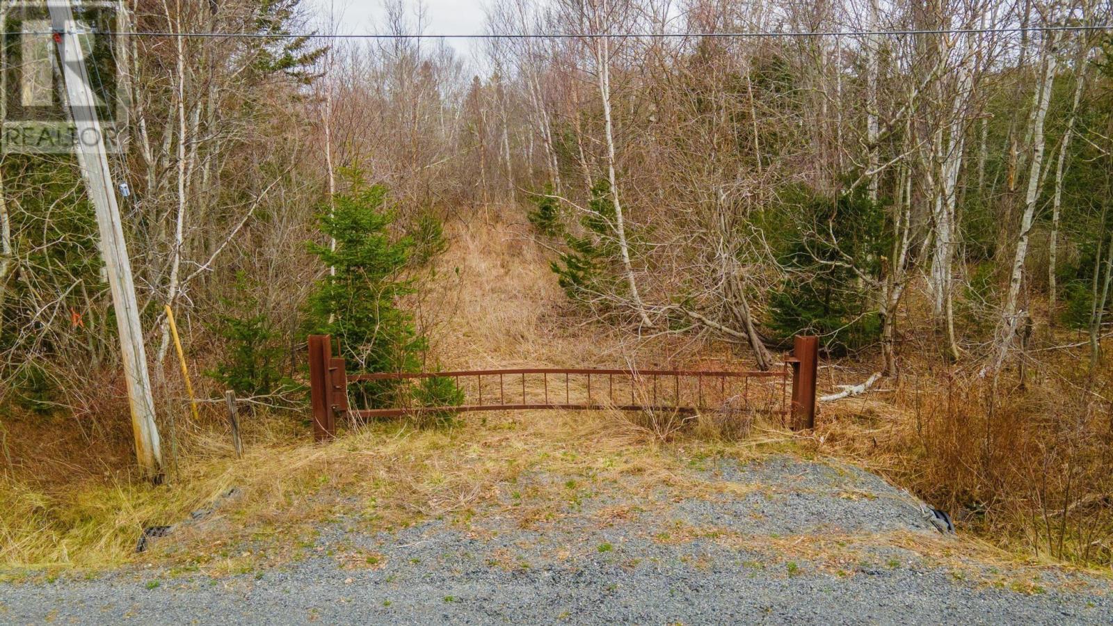 Hiltz Road, Cambridge, Nova Scotia  B0N 2R0 - Photo 9 - 202509315