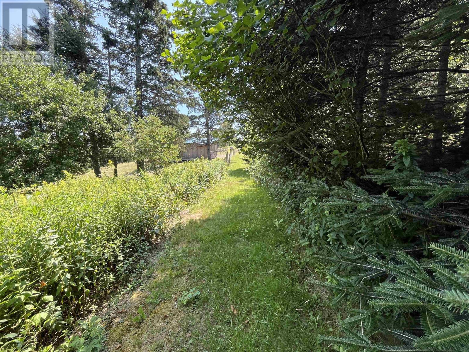 7787 Highway 209, Brookville, Nova Scotia  B0M 1S0 - Photo 38 - 202519280