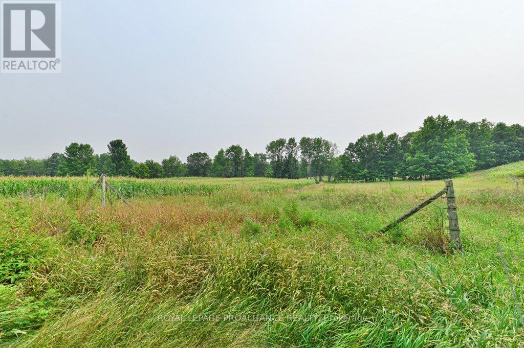 39 Palmateer Road, Tweed, Ontario  K0K 3J0 - Photo 26 - X12315685