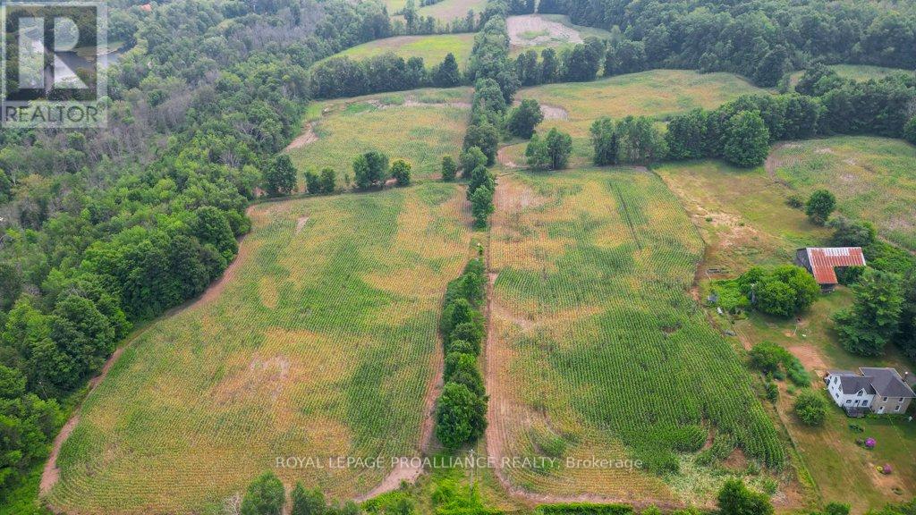 39 Palmateer Road, Tweed, Ontario  K0K 3J0 - Photo 33 - X12315685