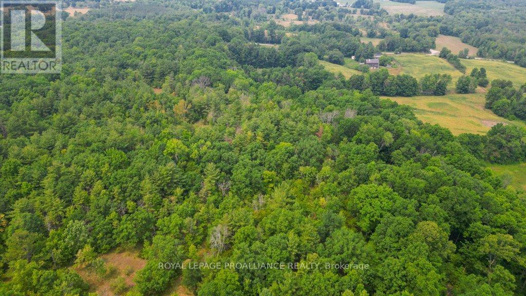 39 Palmateer Road, Tweed, Ontario  K0K 3J0 - Photo 38 - X12315685