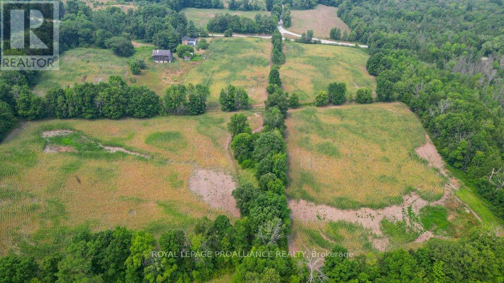 39 Palmateer Road, Tweed, Ontario  K0K 3J0 - Photo 36 - X12315685