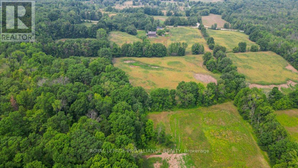 39 Palmateer Road, Tweed, Ontario  K0K 3J0 - Photo 37 - X12315685