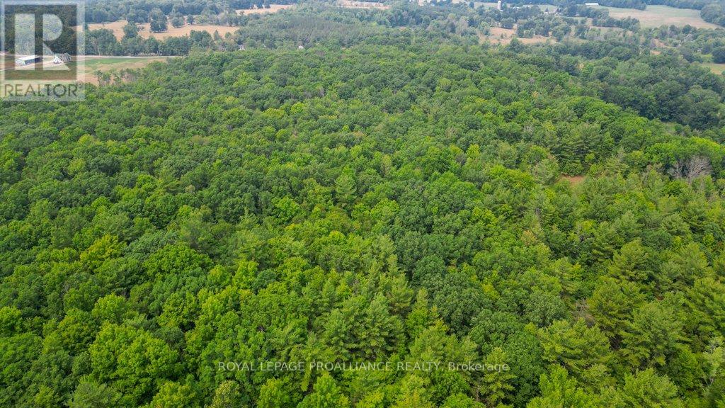 39 Palmateer Road, Tweed, Ontario  K0K 3J0 - Photo 39 - X12315685