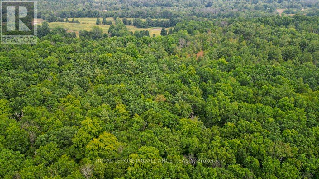 39 Palmateer Road, Tweed, Ontario  K0K 3J0 - Photo 40 - X12315685