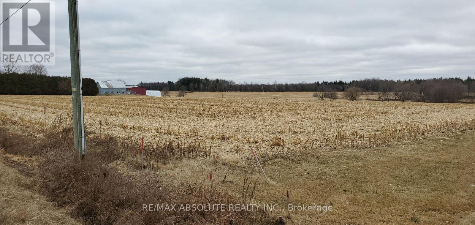 Pl 27 Calypso Street, The Nation, Ontario  K0A 2M0 - Photo 5 - X12319450