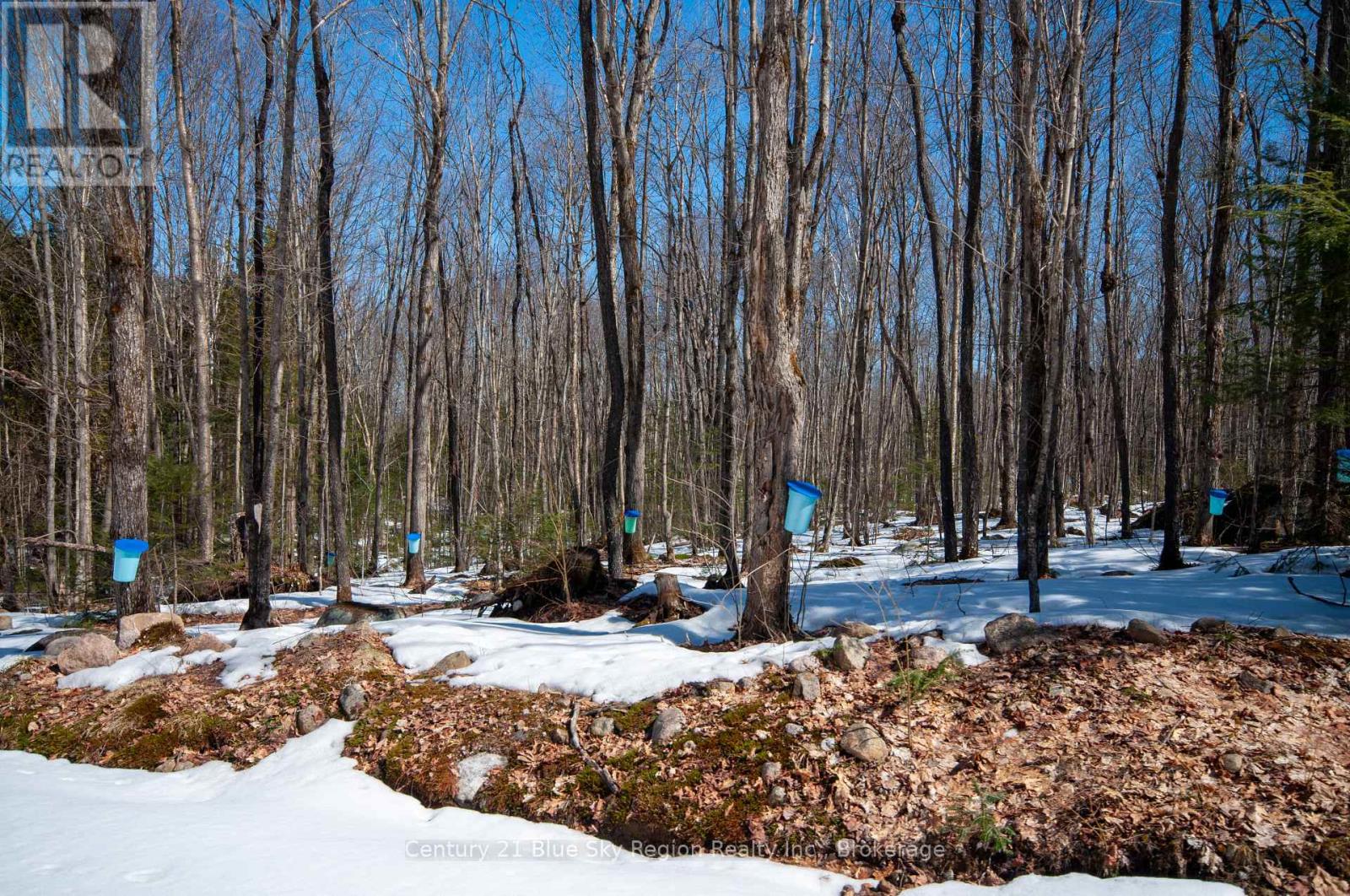 Lot 16 Grand Desert Road, Bonfield, Ontario  P0H 1E0 - Photo 15 - X12323992