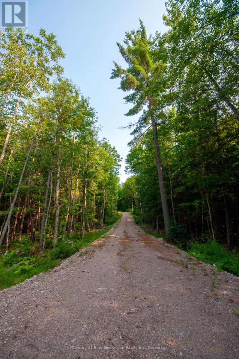 Lot 16 Grand Desert Road, Bonfield, Ontario  P0H 1E0 - Photo 3 - X12323992