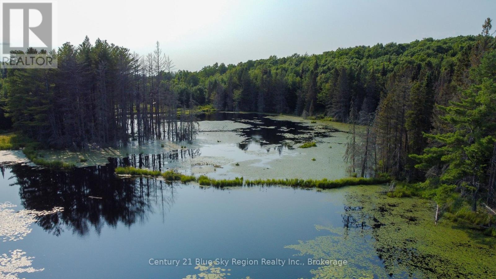 Lot 16 Grand Desert Road, Bonfield, Ontario  P0H 1E0 - Photo 6 - X12323992