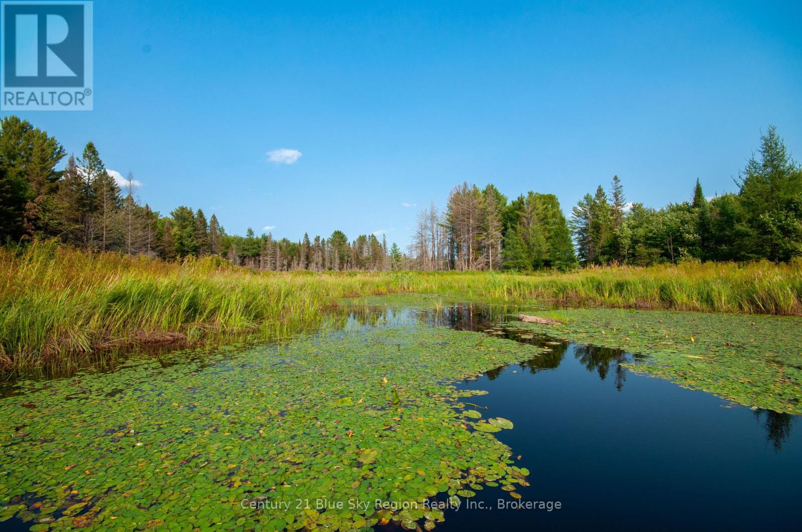 Lot 16 Grand Desert Road, Bonfield, Ontario  P0H 1E0 - Photo 7 - X12323992