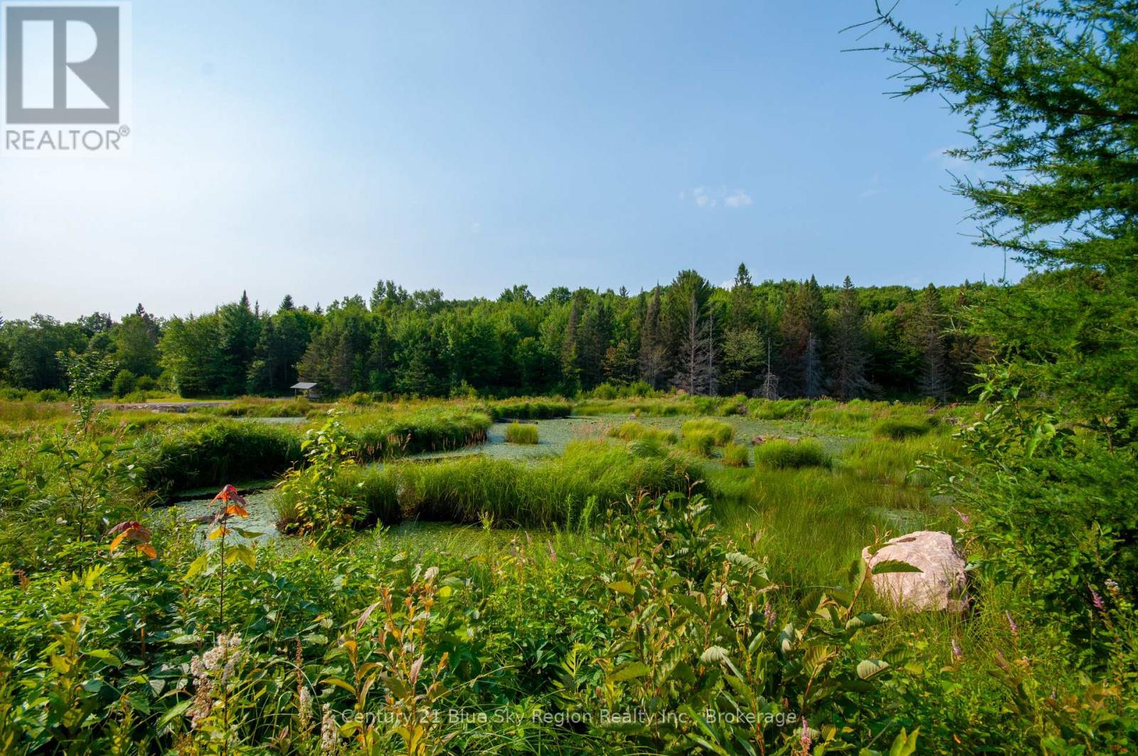 Lot 16 Grand Desert Road, Bonfield, Ontario  P0H 1E0 - Photo 8 - X12323992