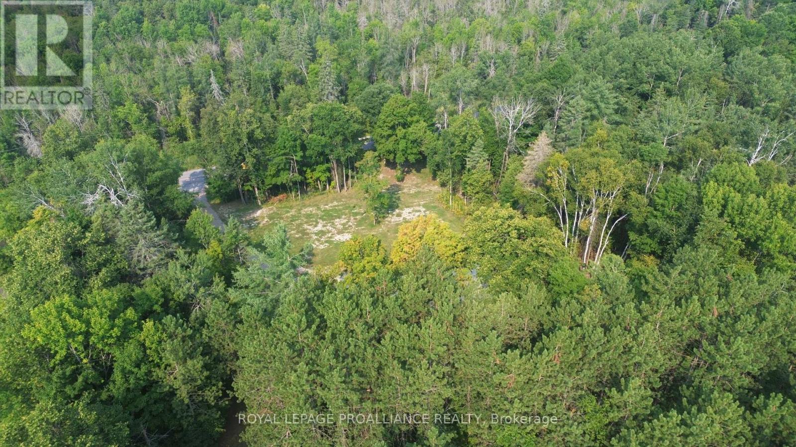 1054 Centre Line Road, Marmora And Lake, Ontario  K0K 2M0 - Photo 5 - X12315863