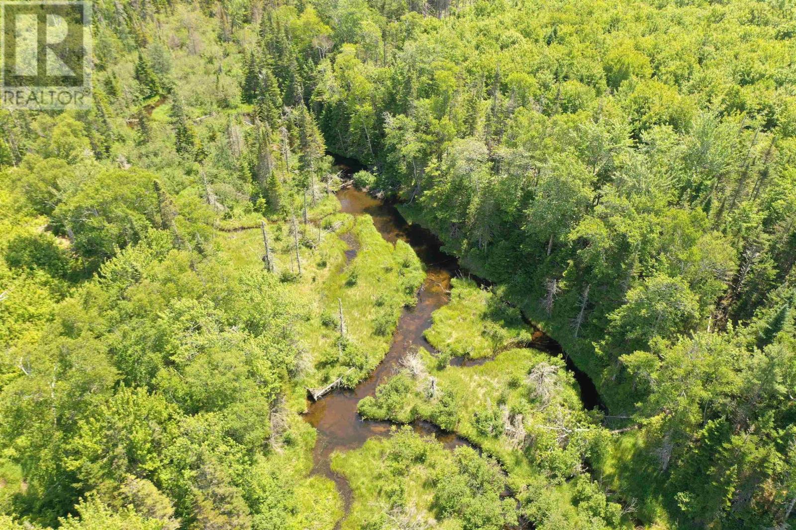 236 Cameron Road, Orangedale, Nova Scotia  B0E 2K0 - Photo 27 - 202518265