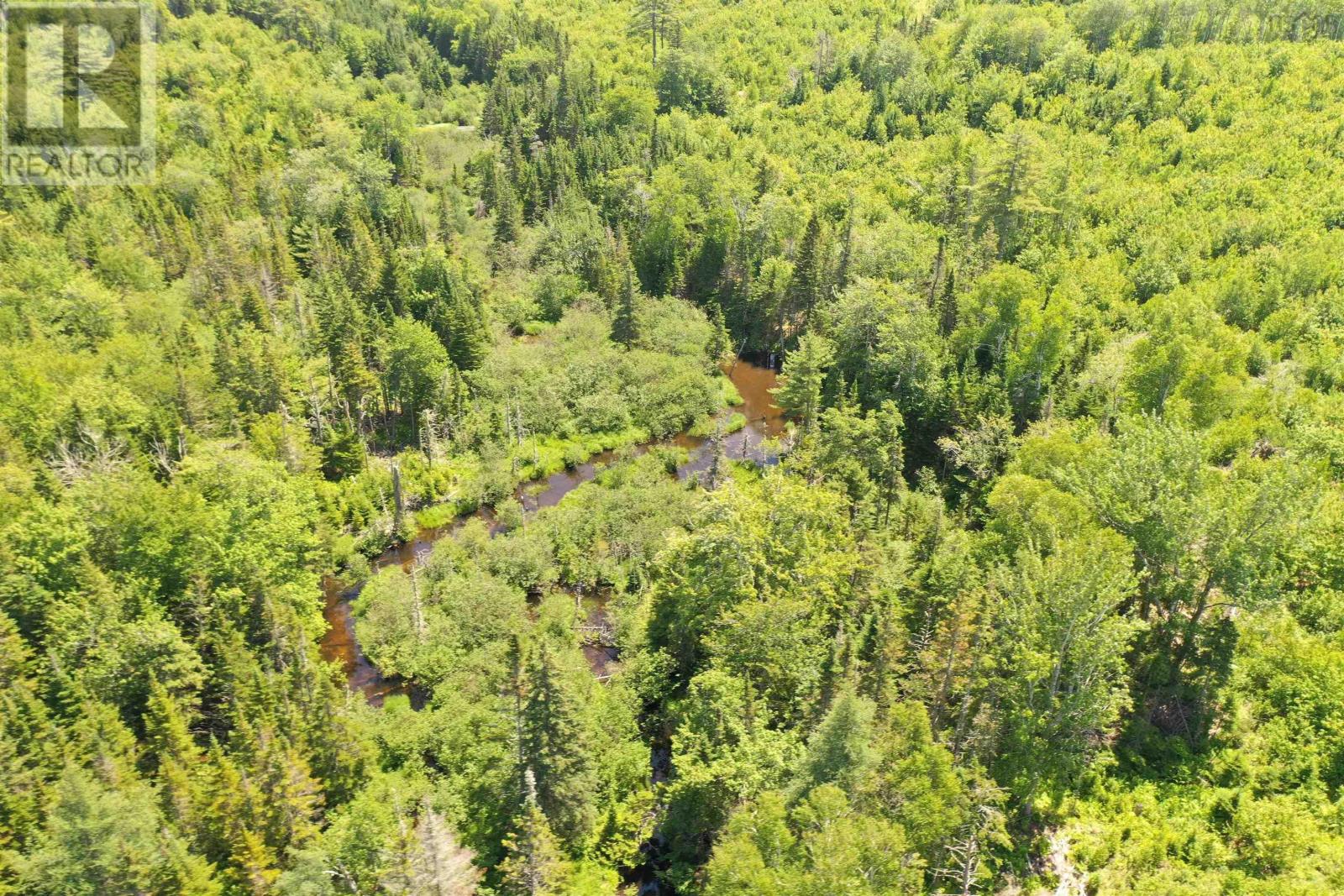 236 Cameron Road, Orangedale, Nova Scotia  B0E 2K0 - Photo 28 - 202518265