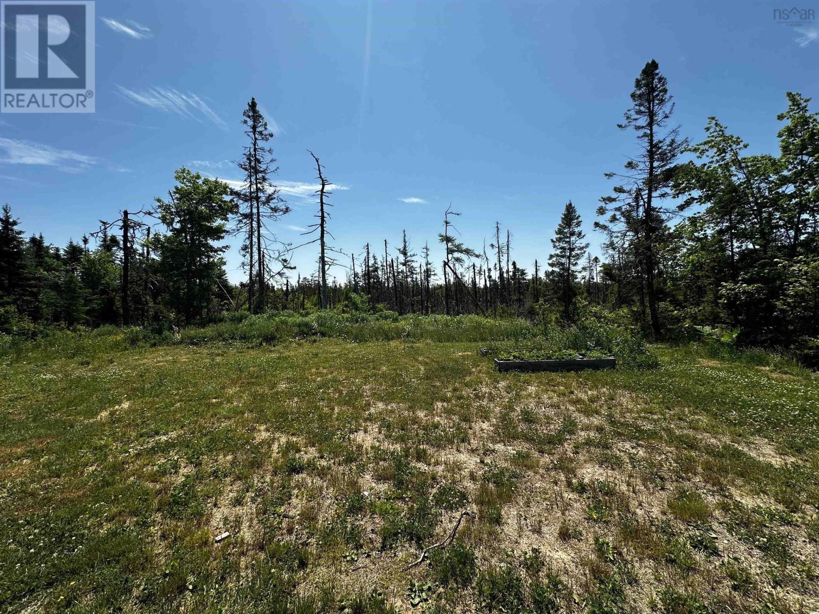236 Cameron Road, Orangedale, Nova Scotia  B0E 2K0 - Photo 19 - 202518265