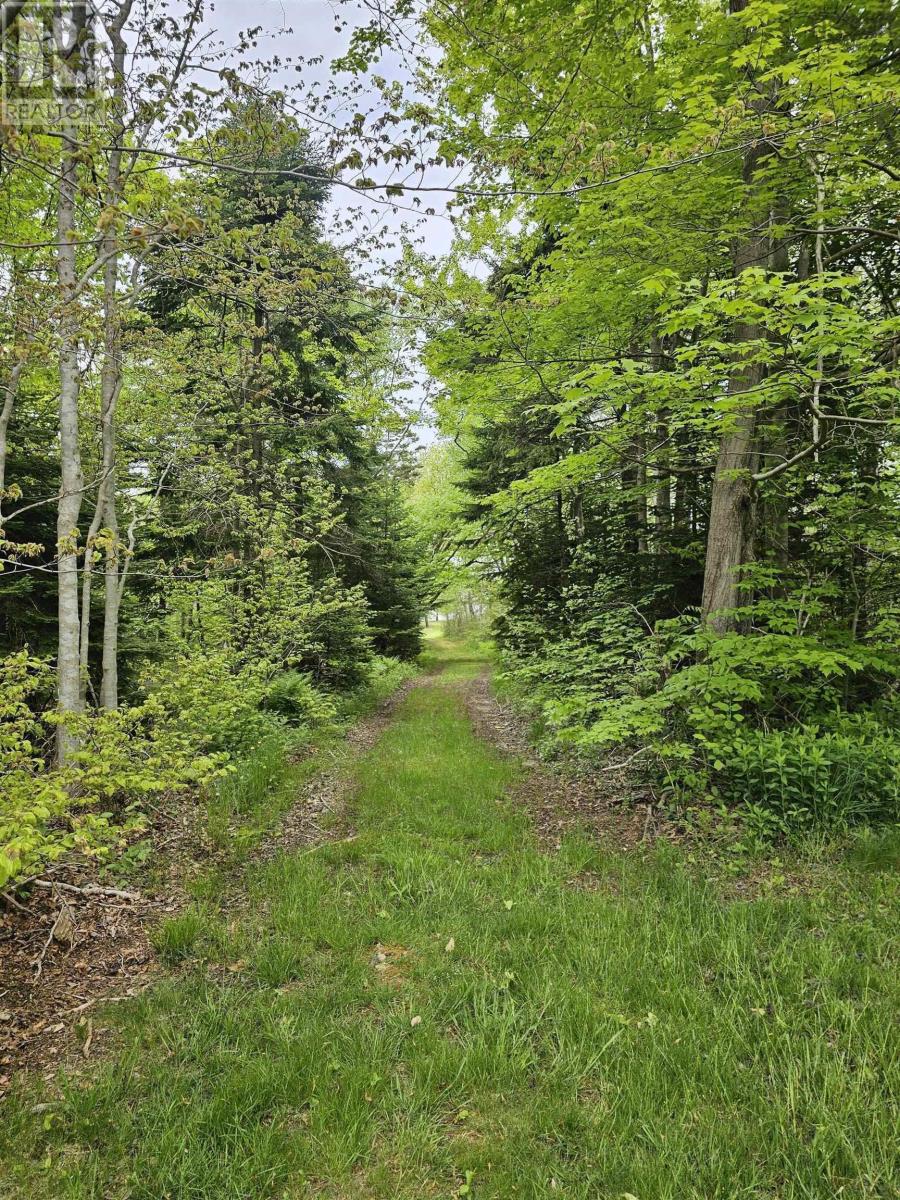 8865 8869 Hwy 101 Highway, Brighton, Nova Scotia  B0V 1A0 - Photo 29 - 202519595