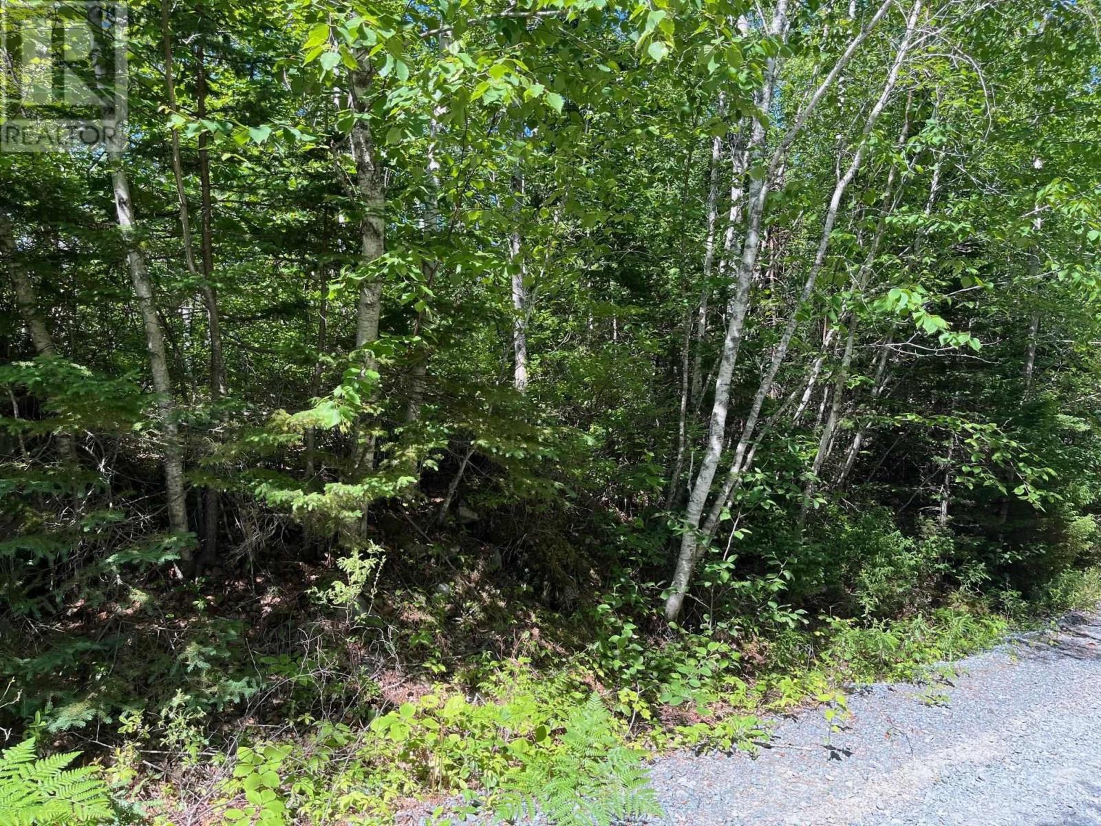 Lot 20 Old Kettle Road, Mill Village, Nova Scotia  B0J 2H0 - Photo 1 - 202519598