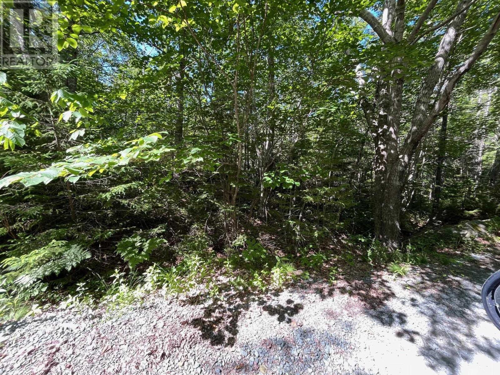 Lot 20 Old Kettle Road, Mill Village, Nova Scotia  B0J 2H0 - Photo 3 - 202519598