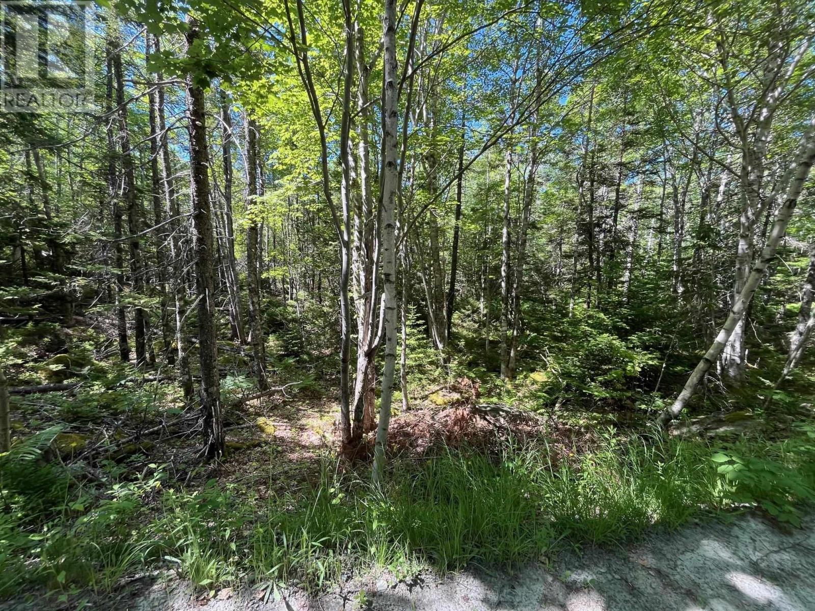 Lot 20 Old Kettle Road, Mill Village, Nova Scotia  B0J 2H0 - Photo 4 - 202519598