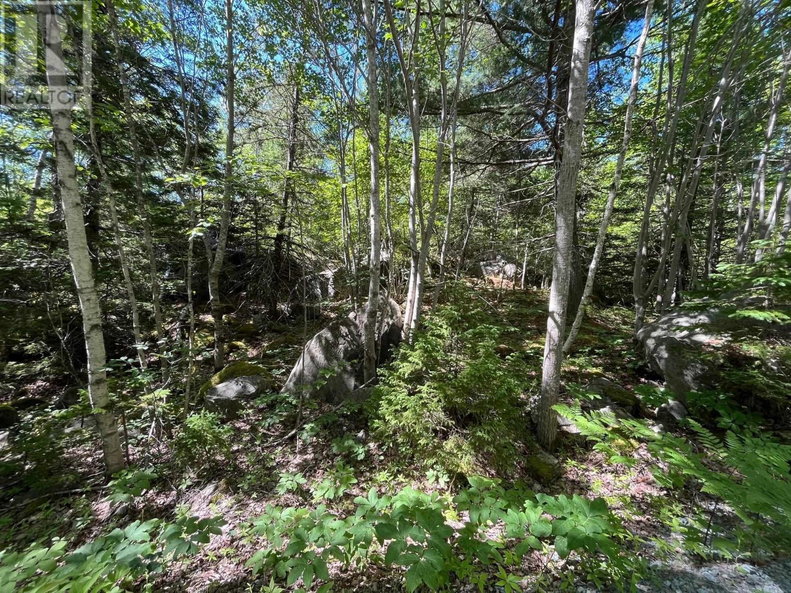 Lot 20 Old Kettle Road, Mill Village, Nova Scotia  B0J 2H0 - Photo 5 - 202519598
