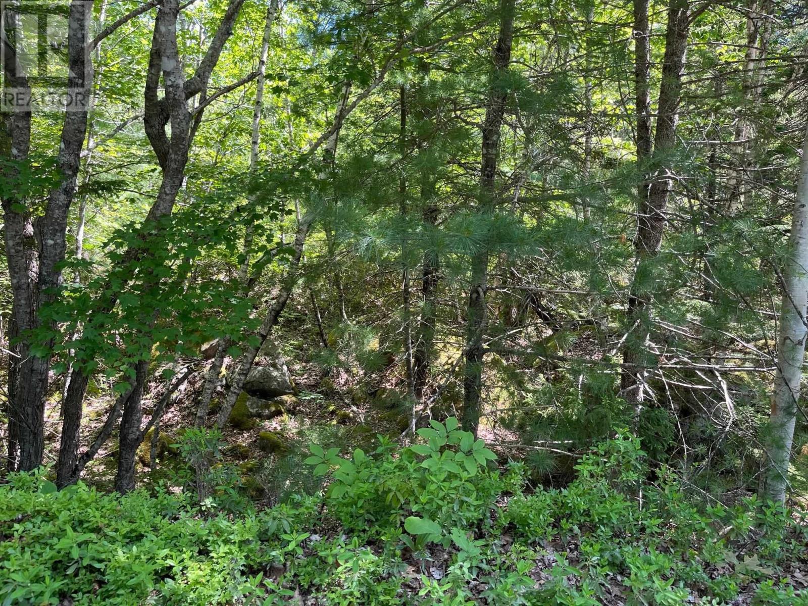 Lot 20 Old Kettle Road, Mill Village, Nova Scotia  B0J 2H0 - Photo 6 - 202519598