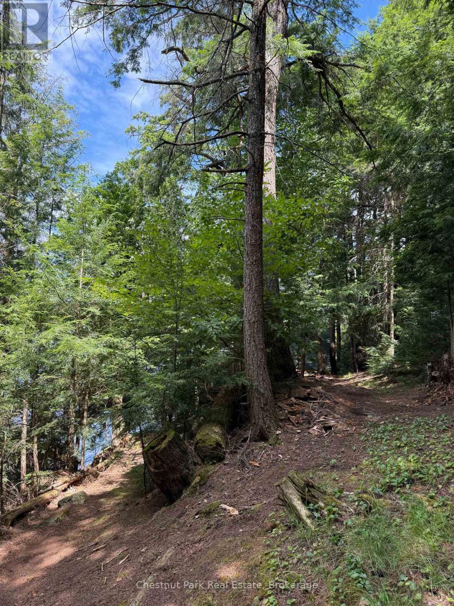 Apl1136e - 19 Cache Lake, South Algonquin, Ontario  P0A 1H0 - Photo 38 - X12324075