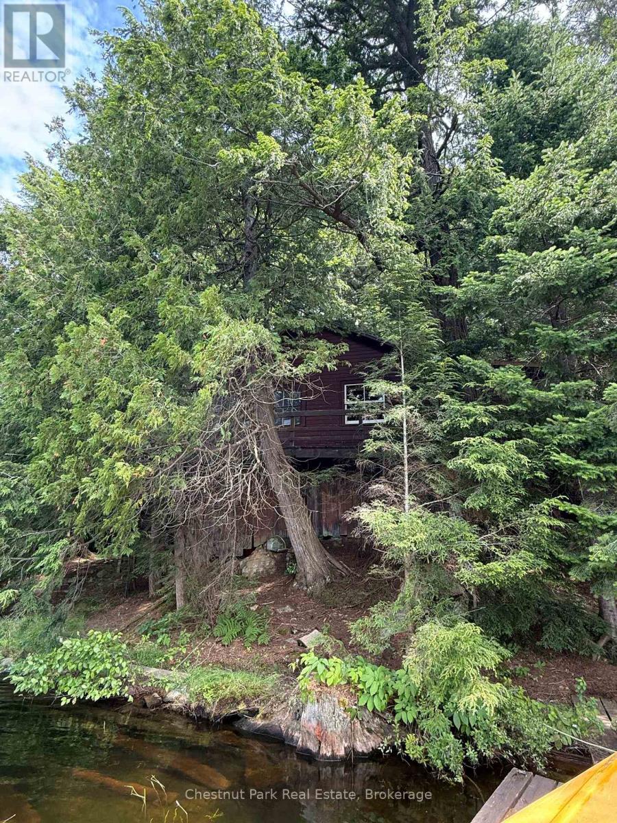 Apl1136e - 19 Cache Lake, South Algonquin, Ontario  P0A 1H0 - Photo 7 - X12324075