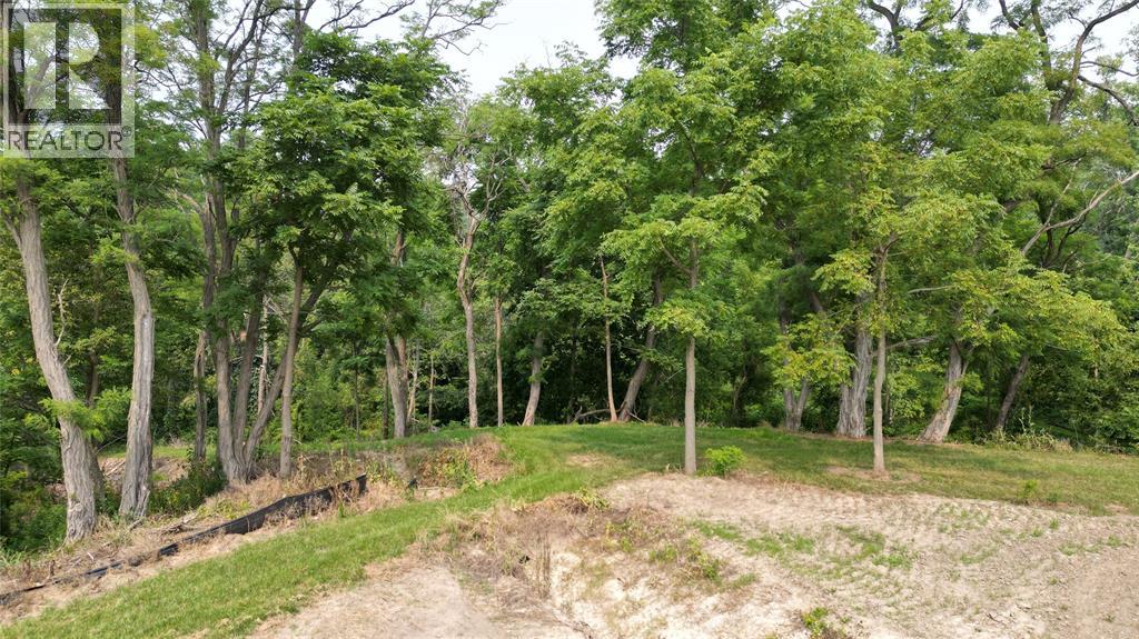 3419 Four Elms Court, Plympton-Wyoming, Ontario  N0N 1E0 - Photo 8 - 25019421