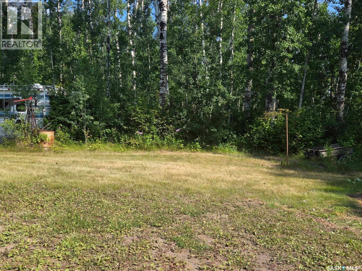 207 Brown Street, Paddockwood Rm No. 520, Saskatchewan  S0J 0N0 - Photo 7 - SK014620