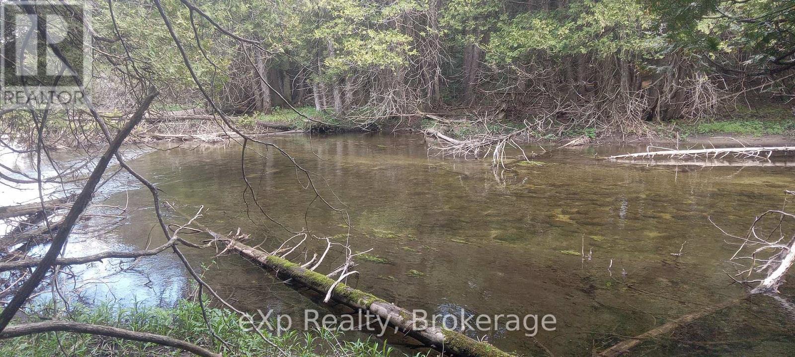 302350 Concession 2 Side Road, West Grey, Ontario  N4N 3B8 - Photo 4 - X12324596