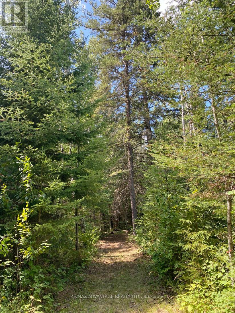 4650 Hwy 11/17, Oliver Paipoonge, Ontario  P7K 0J1 - Photo 19 - X12316815