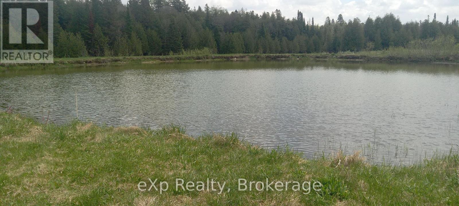 302350 Concession 2 Side Road, West Grey, Ontario  N4N 3B8 - Photo 6 - X12324611
