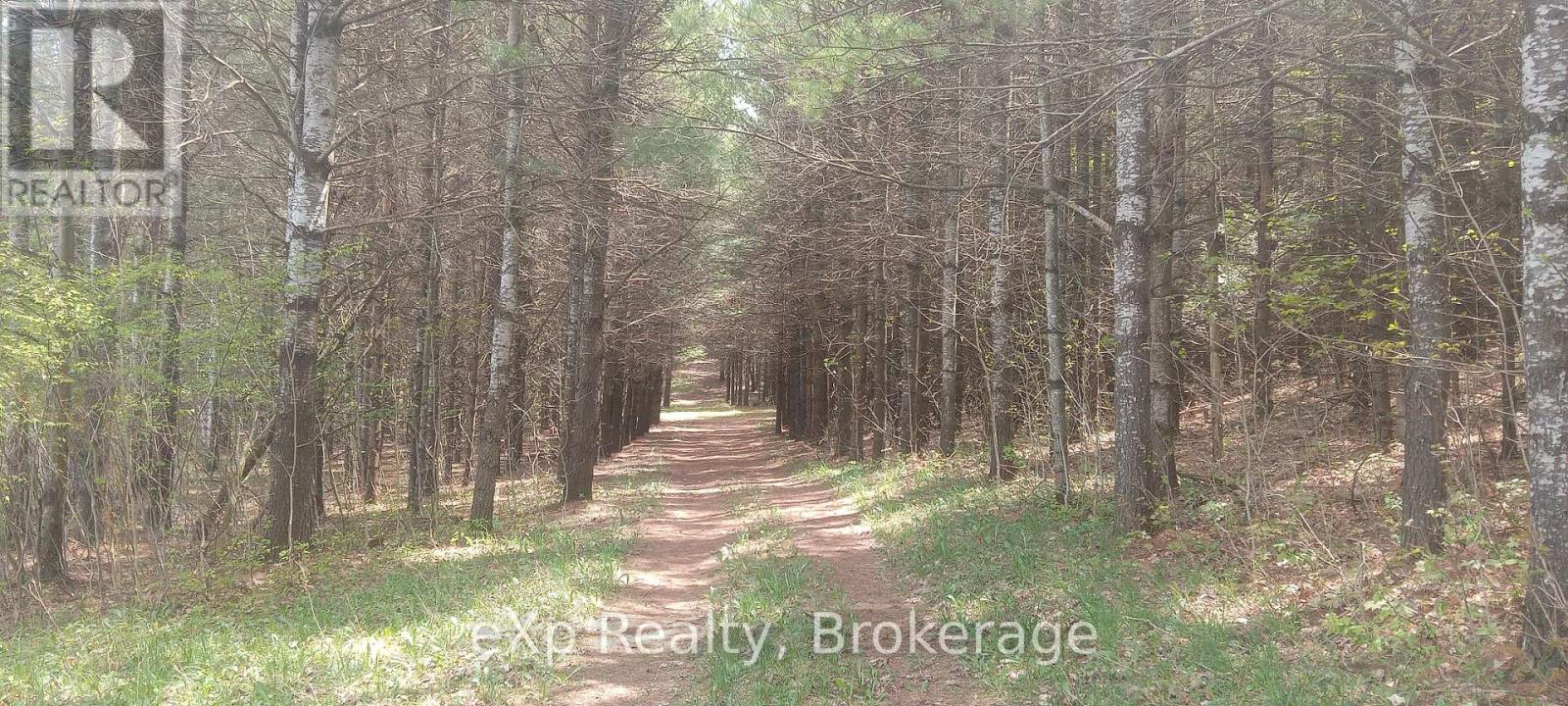 302350 Concession 2 Side Road, West Grey, Ontario  N4N 3B8 - Photo 7 - X12324611