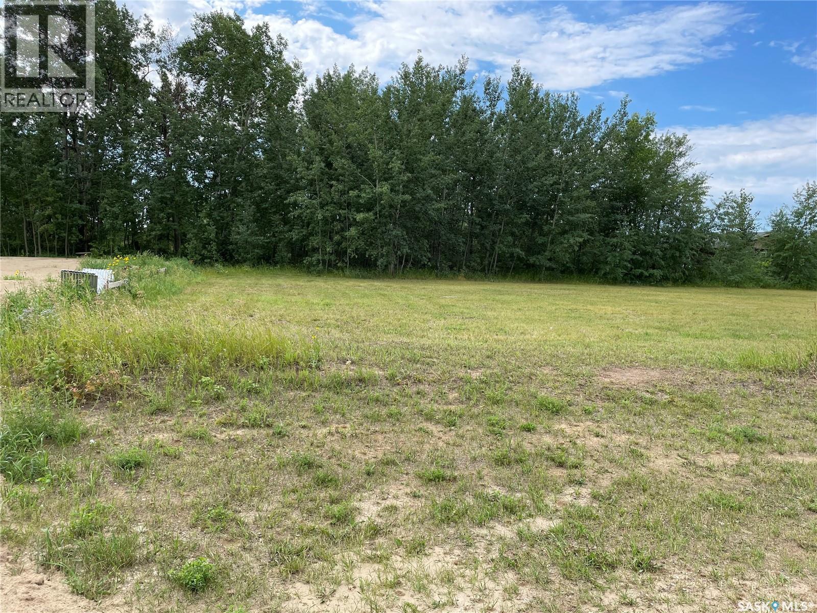 404 Park Drive, Tobin Lake, Saskatchewan  S0E 1E0 - Photo 7 - SK014530