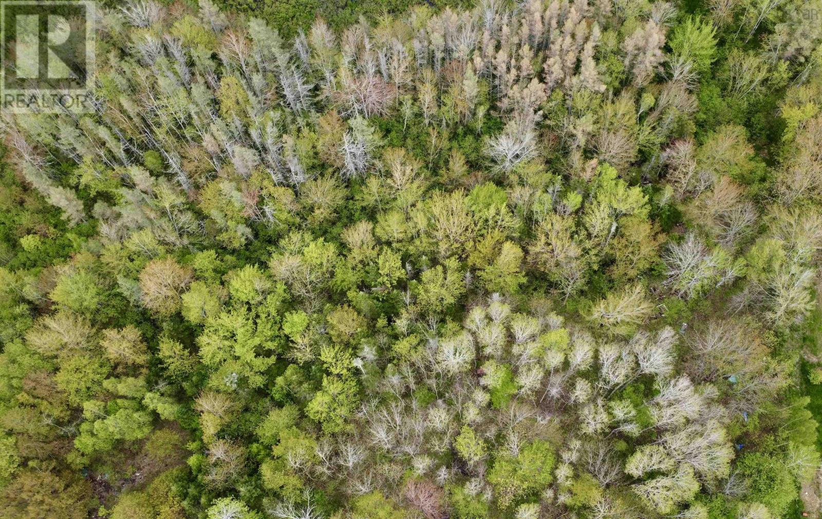 Lot Conquerall Road, Conquerall Mills, Nova Scotia  B4V 2W3 - Photo 3 - 202512551