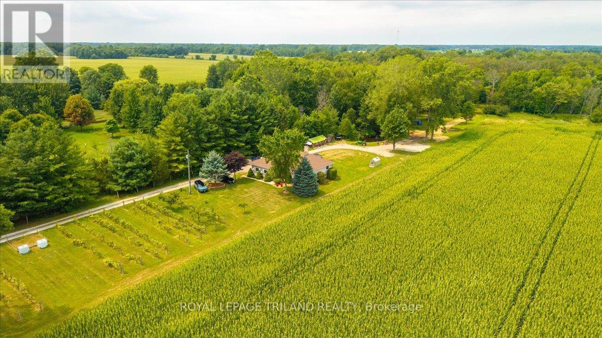 26820 Marsh Line, Dutton/dunwich, Ontario  N0L 1J0 - Photo 1 - X12324884