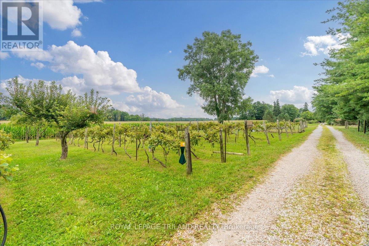 26820 Marsh Line, Dutton/dunwich, Ontario  N0L 1J0 - Photo 33 - X12324884