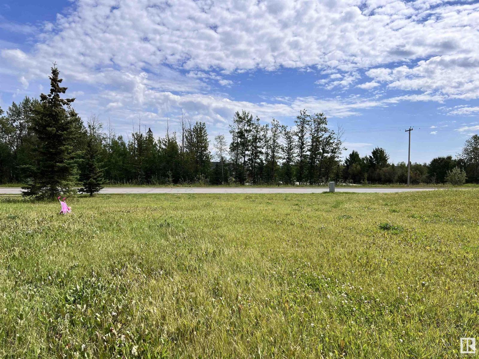 3500 43 Ave, Drayton Valley, Alberta  T7A 1T8 - Photo 5 - E4451145