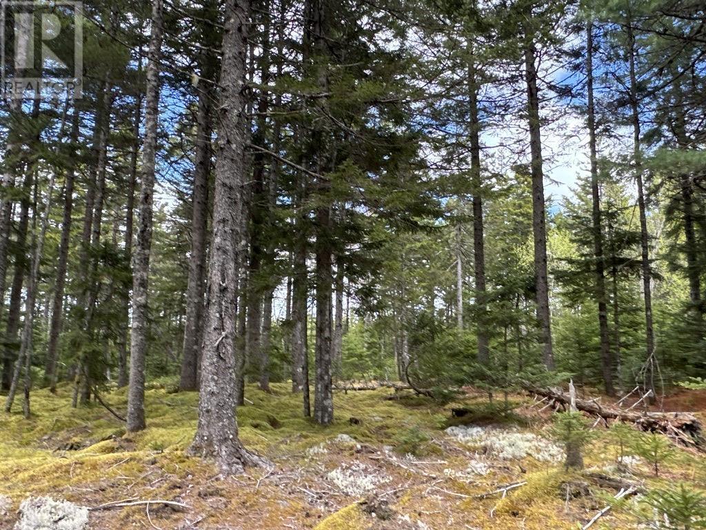 Acreage No 101 Highway, Ardoise, Nova Scotia  B0N 1L0 - Photo 11 - 202516163