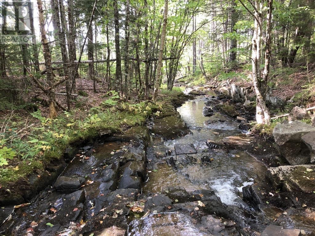 Acreage No 101 Highway, Ardoise, Nova Scotia  B0N 1L0 - Photo 7 - 202516163