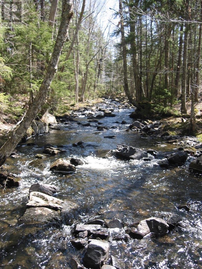 Acreage No 101 Highway, Ardoise, Nova Scotia  B0N 1L0 - Photo 6 - 202516163