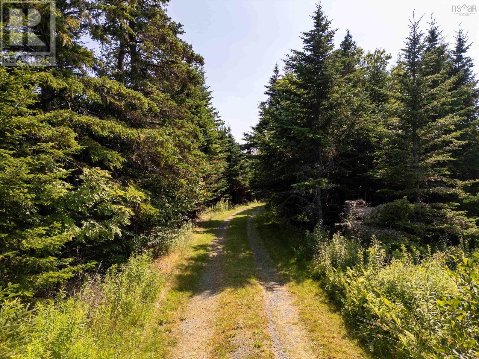1916 Ostrea Lake Road, Ostrea Lake, Nova Scotia  B0J 2L0 - Photo 22 - 202519009